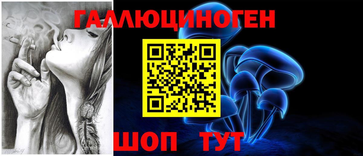 Галлюциногенные грибы прущие грибы  Вход с VPN  Мурино  Галлюциногенные грибы Cubensis 